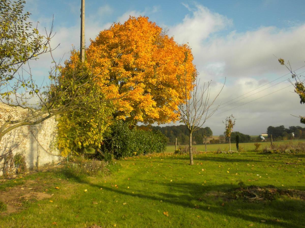 La Ferme Le Merger Bed and Breakfast La Ferté-Gaucher Exterior foto
